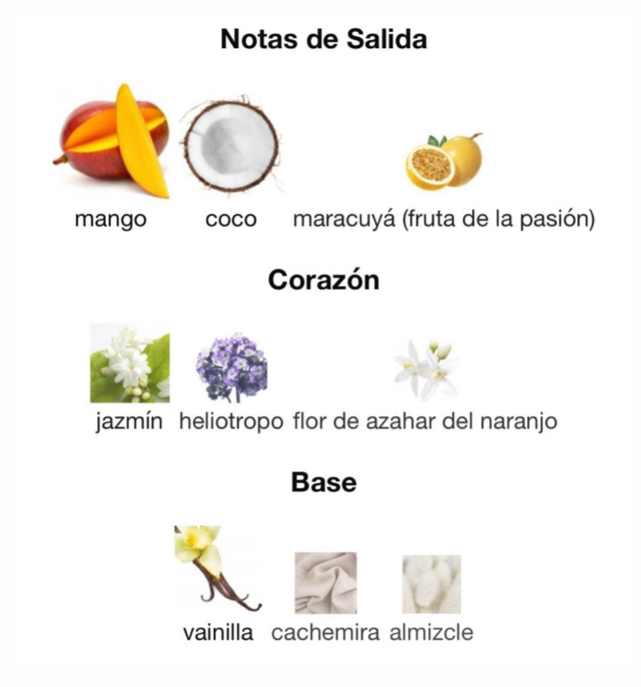 Haya Soleil