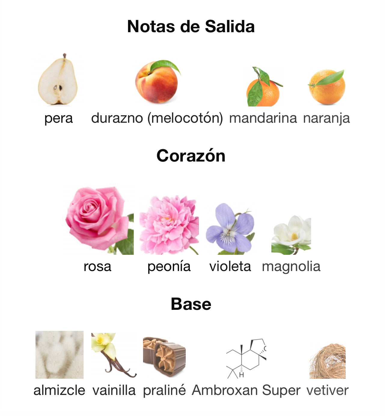 Fleur Majesty Rose Royale 31 (Pre-orden)