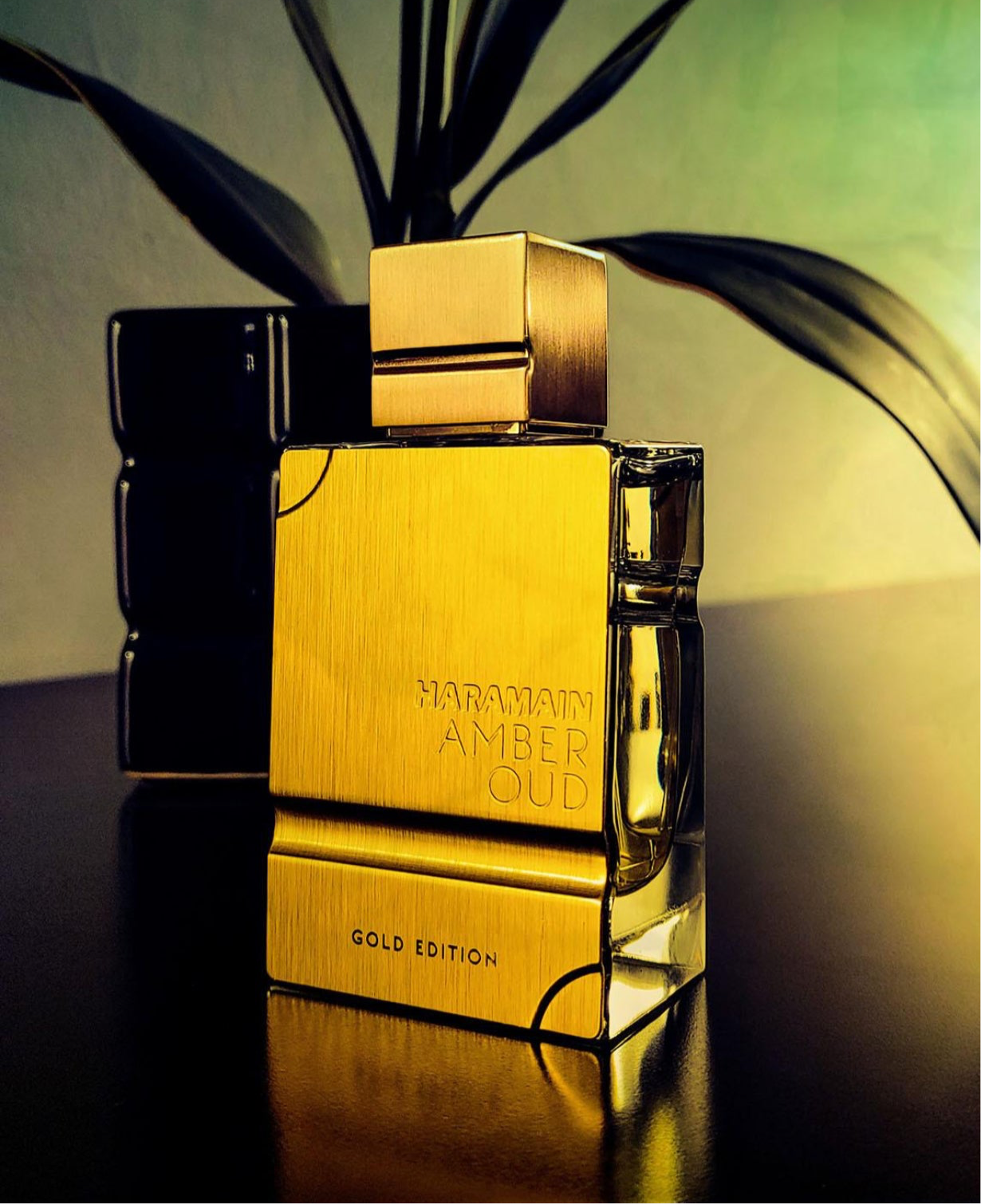 Amber Oud Gold Edition