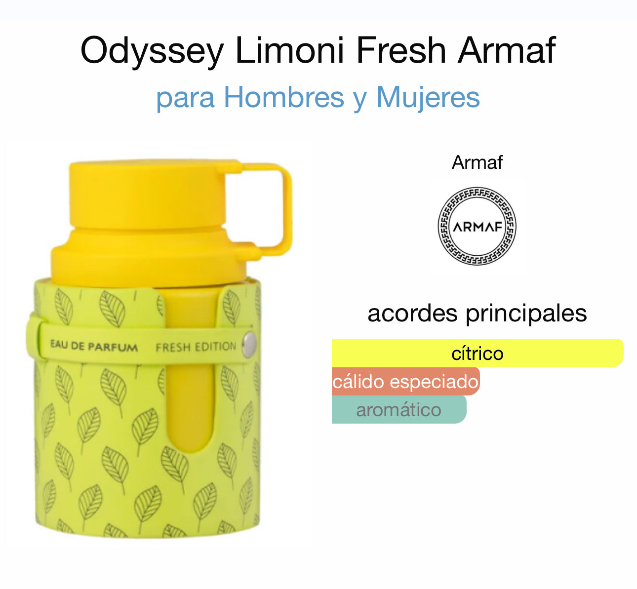 Odyssey Limoni