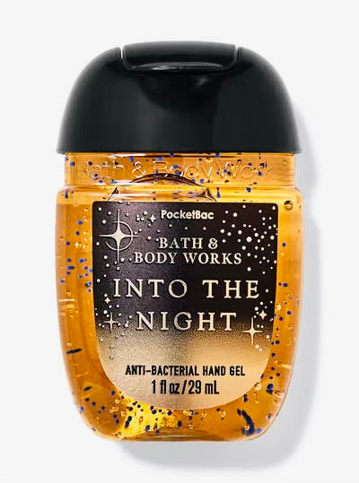 Into the Night (Pocketbac)