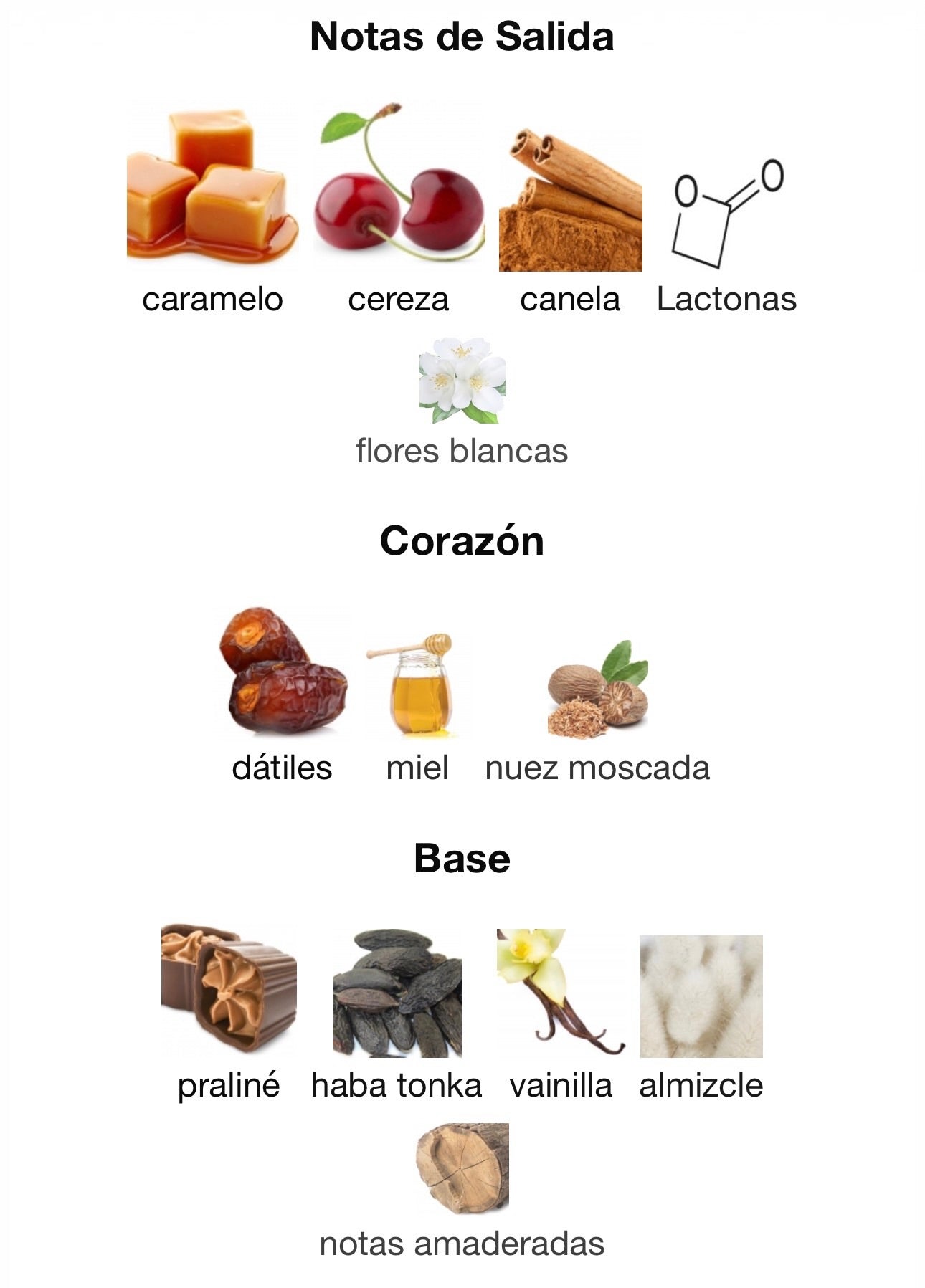 Odyssey Black Forest