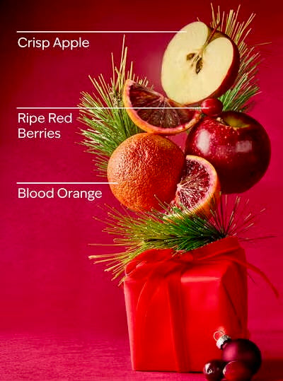 Bright Christmas Morning (Pocketbac)