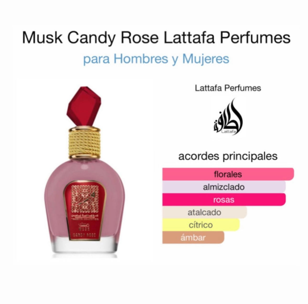 Musk Candy Rose