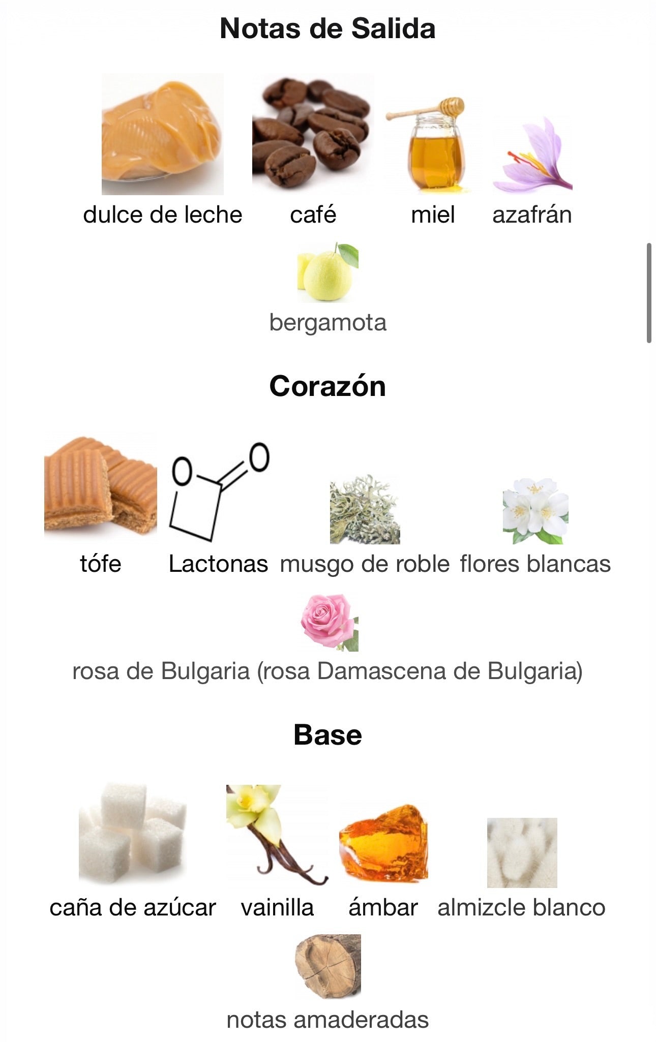 Odyssey Toffee Coffee