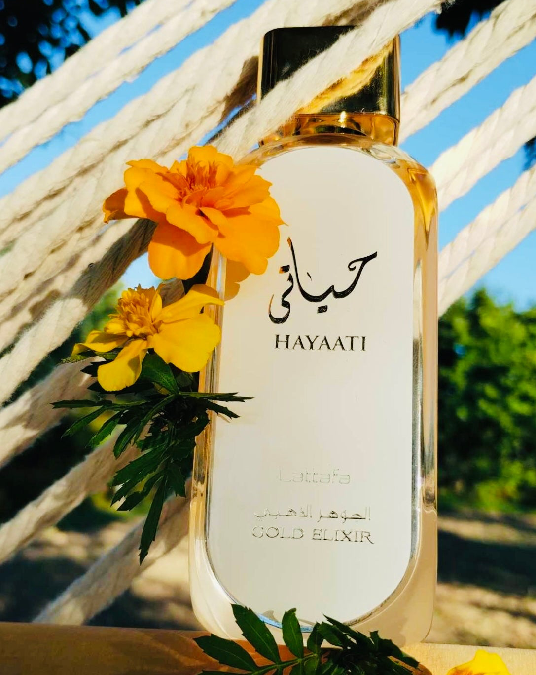 Hayaati Gold Elixir