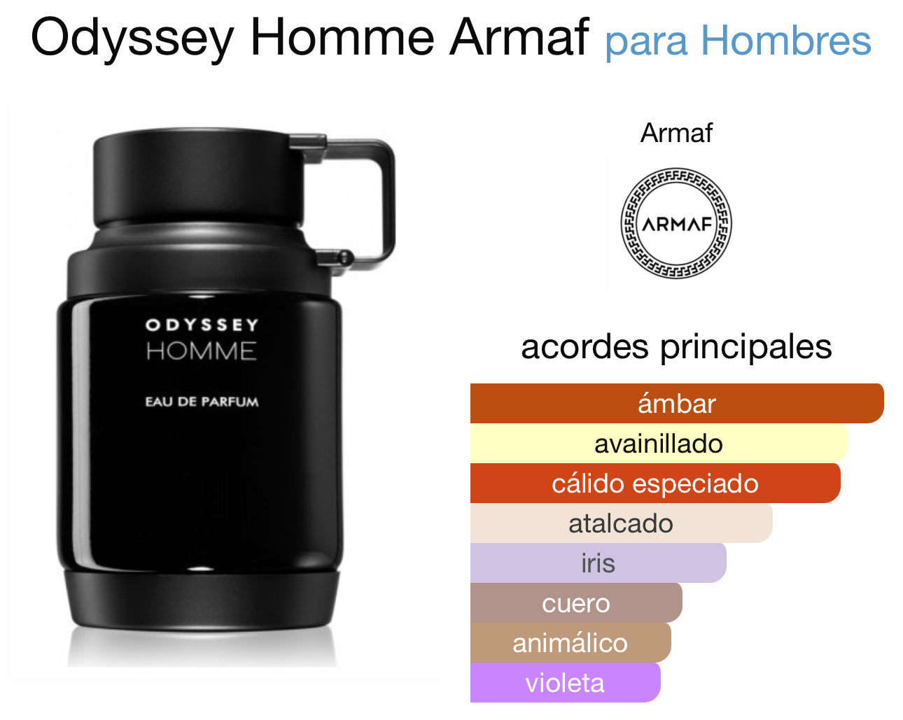 Odyssey Homme