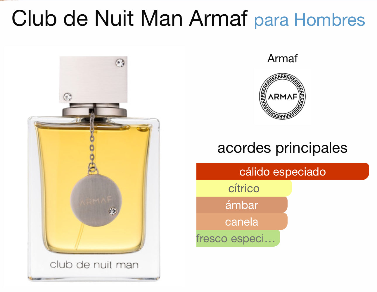 Club de Nuit Man